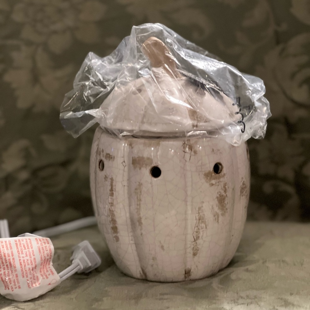 Scentsy Rustic Pumpkin wax warmer
